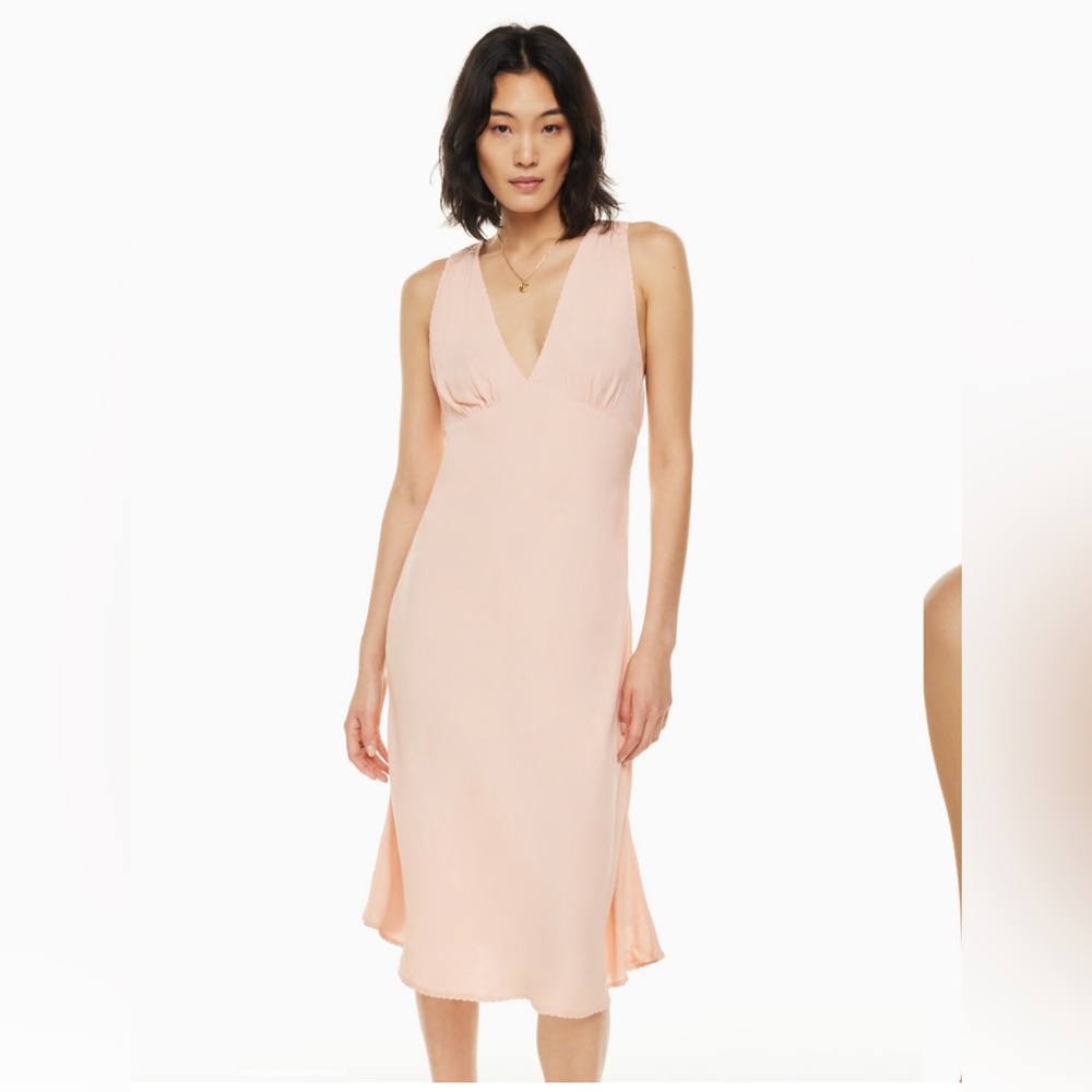 Aritzia Orchestra Dress